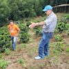 Pura Vida World Coffee 50/50 Roast - Image 5