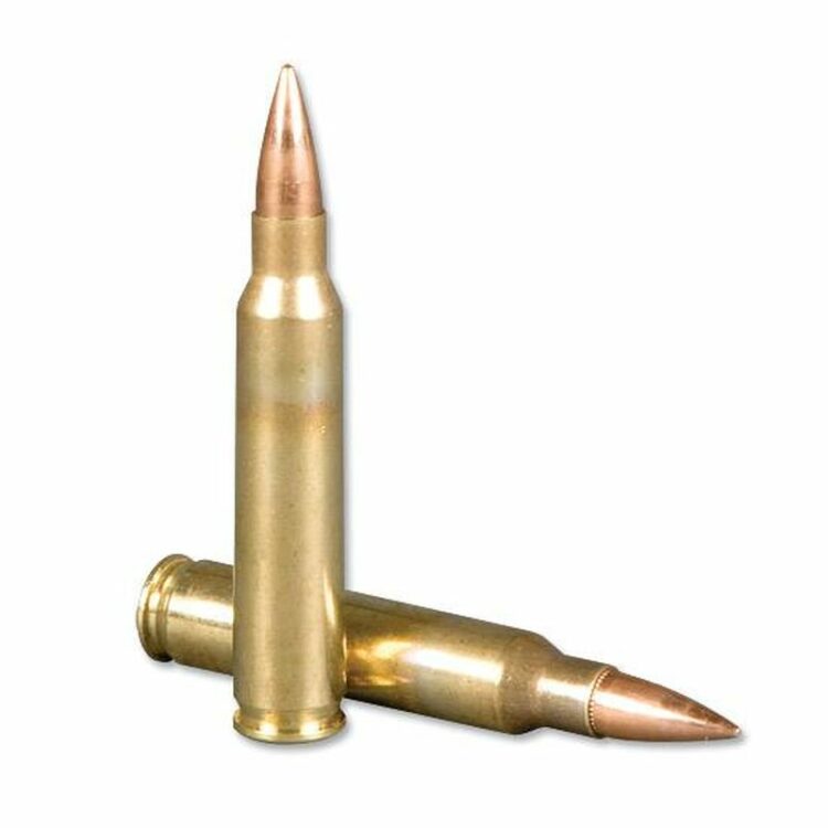 ammo
