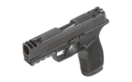 Sig 365 with comp