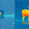 Thermion 2 LRF XL50 thermal image
