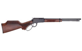 HENRY H1 SPORTER 22WMR 18.5" 12RD TB