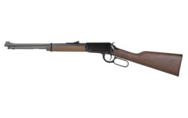 HENRY H1 CLASSIC CMP 22LR 16.5" 13RD