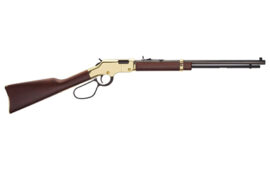 HENRY H4 GOLDEN BOY LL 22WMR 20.5"