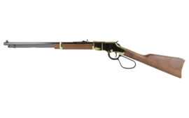 HENRY H4 GOLDEN BOY LL 17HMR 20"