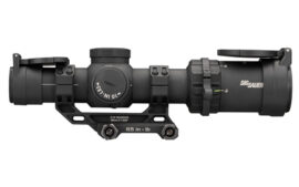 SIG TANGO-MSR CMP 1-10X24 SFP BDC10