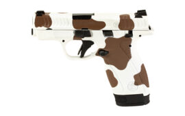 S&W BDYGRD 2.0 380ACP 2.75 12RD COW