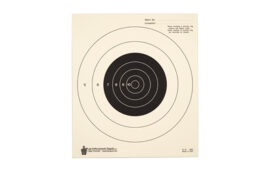 ACTION TGT BULLSEYE TAG PAPER 100PK