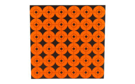 B/C TARGET SPOTS 360-1"