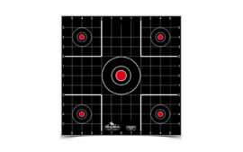 B/C DIRTY BIRD SIGHT IN TGT 12-12"