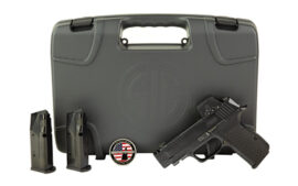 SIG P365 LUX 380ACP 3.1" BL 12R RXSL