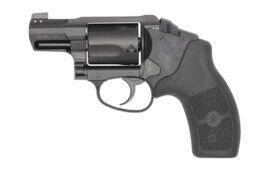 S&W BDYGD 38SPL 2.0 1.875" 5RD LSR