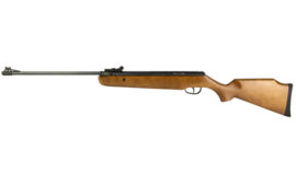 Crosman Vantage NP, Air Rifle