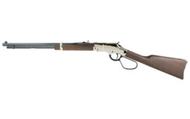 Henry Repeating Arms Silver Boy Large Loop, Lever Action Rifle, 22LR, 20" Octagon Barrel, Silver Receiver