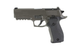 Sig Sauer P226-X LEGION, 9MM, 4.4" Barrel, Cerakote Finish, Legion Gray, X-RAY3 Day/Night Sights, 10 Rounds