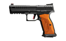 SDS Arms RA9 Sport, 9MM, 4.75" Barrel, Black, 17 Rounds, Optic Ready